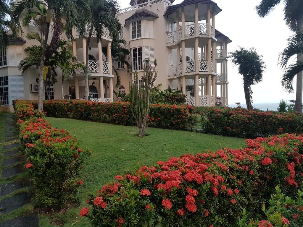 Chill On The Hill Apartment Ocho Rios Exterior foto